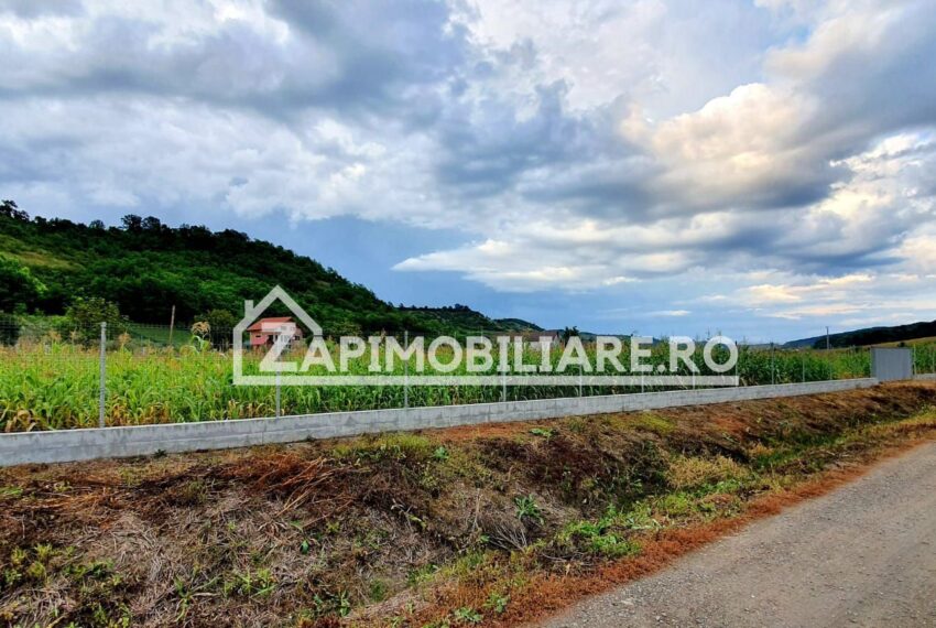 property_image_1007604_0
