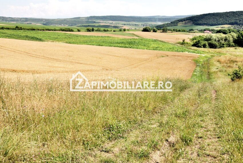 property_image_1733659_6