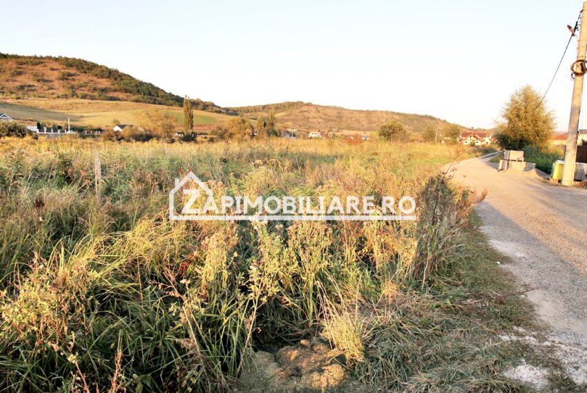 property_image_1785742_11