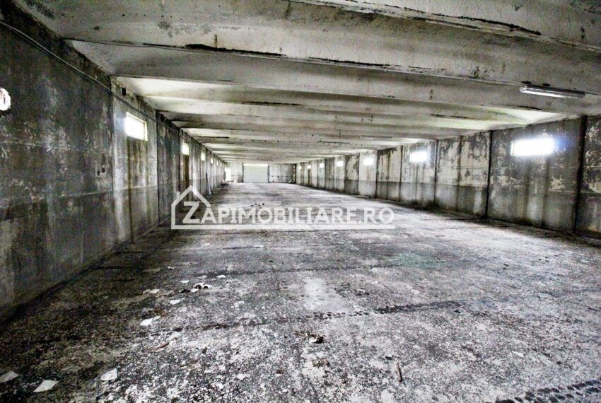 property_image_718195_4