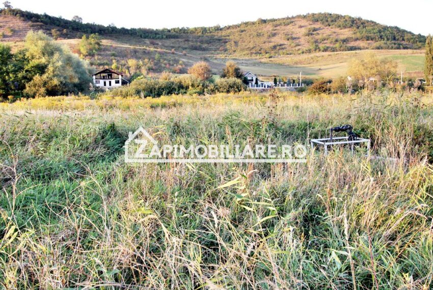 property_image_1785742_7