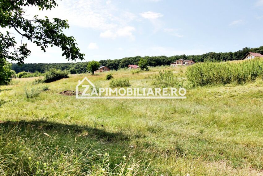 property_image_1733659_1