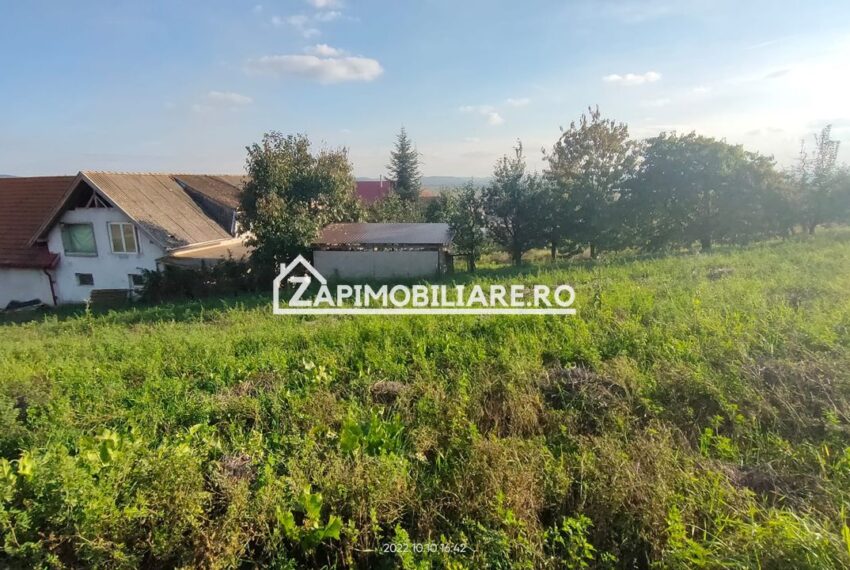 property_image_1603733_6