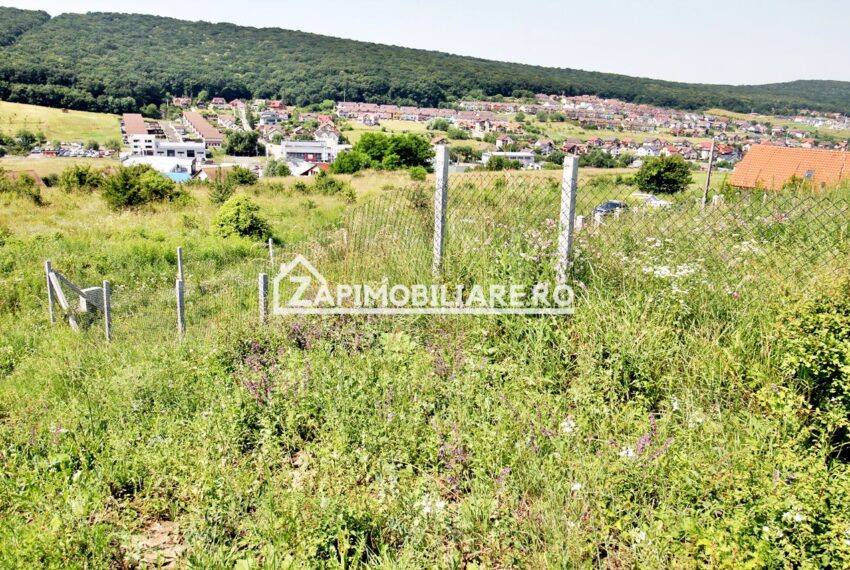 property_image_1728573_1