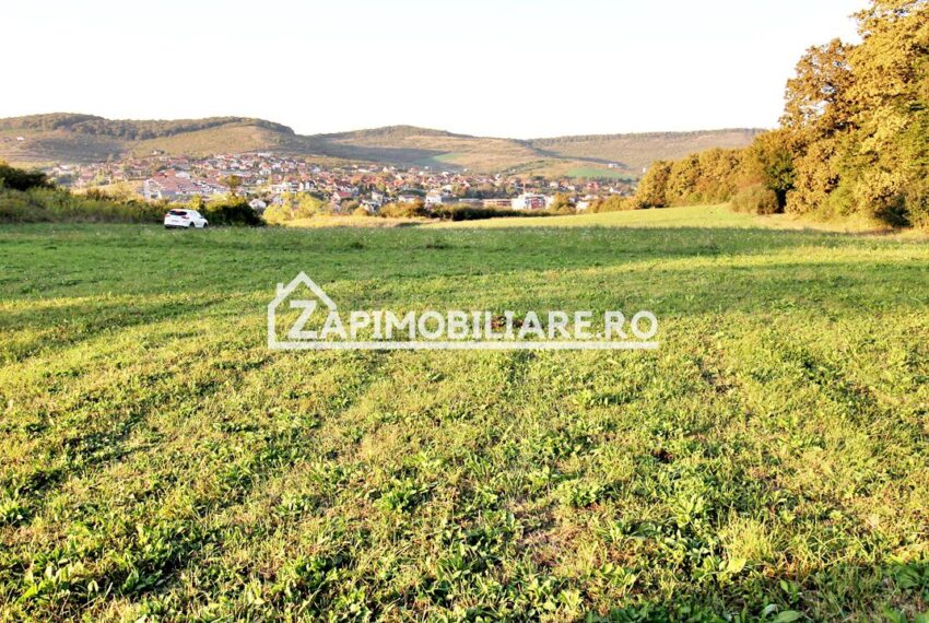 property_image_1785742_10