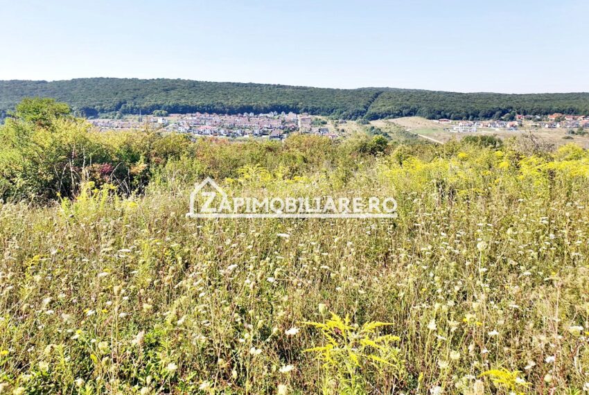 property_image_1577747_6