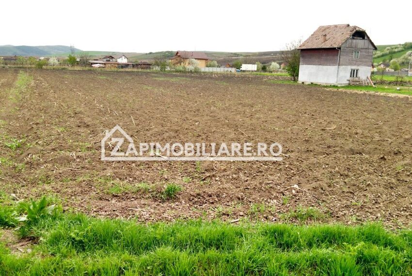 property_image_519464_6