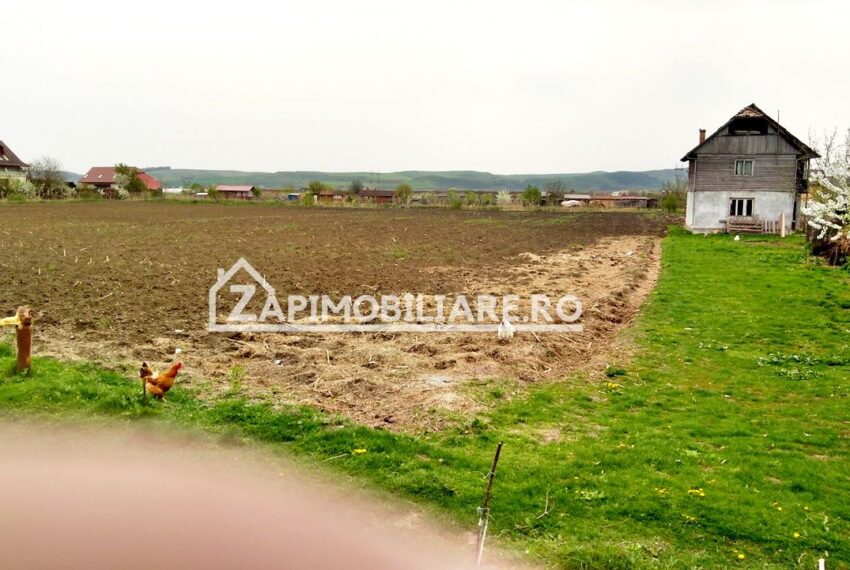 property_image_519464_2