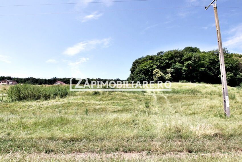 property_image_1733659_2