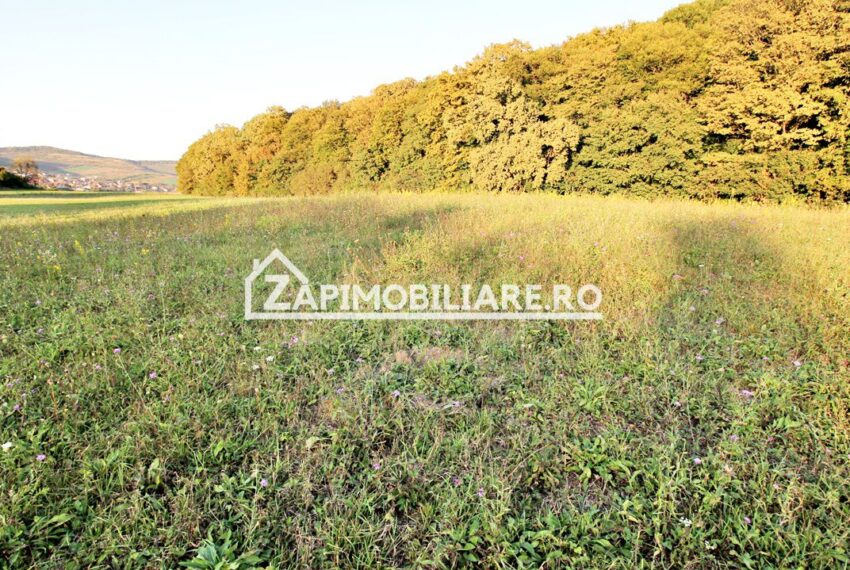 property_image_1785742_4