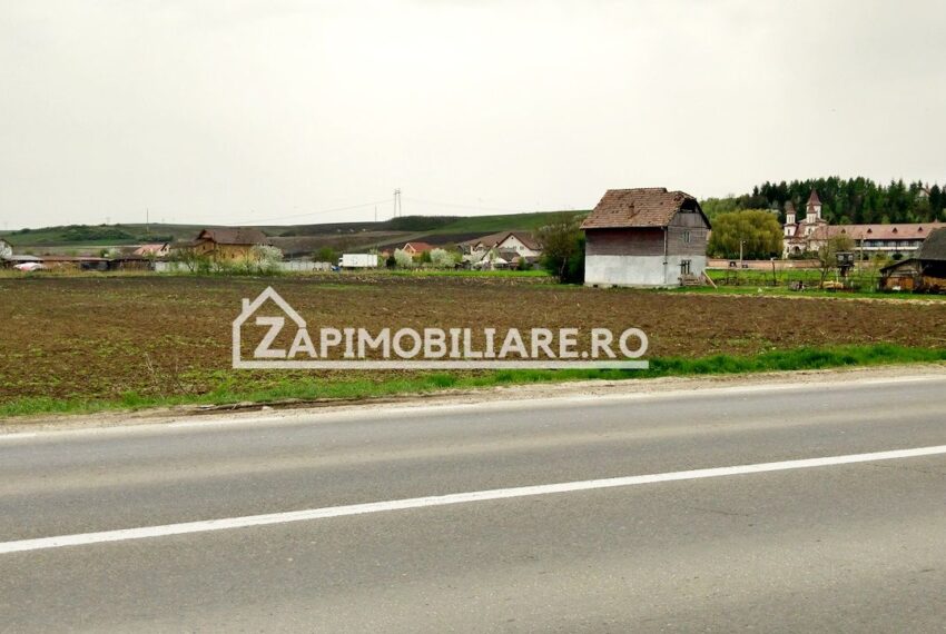 property_image_519464_4