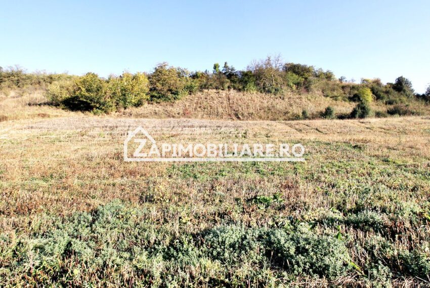 property_image_1791414_5