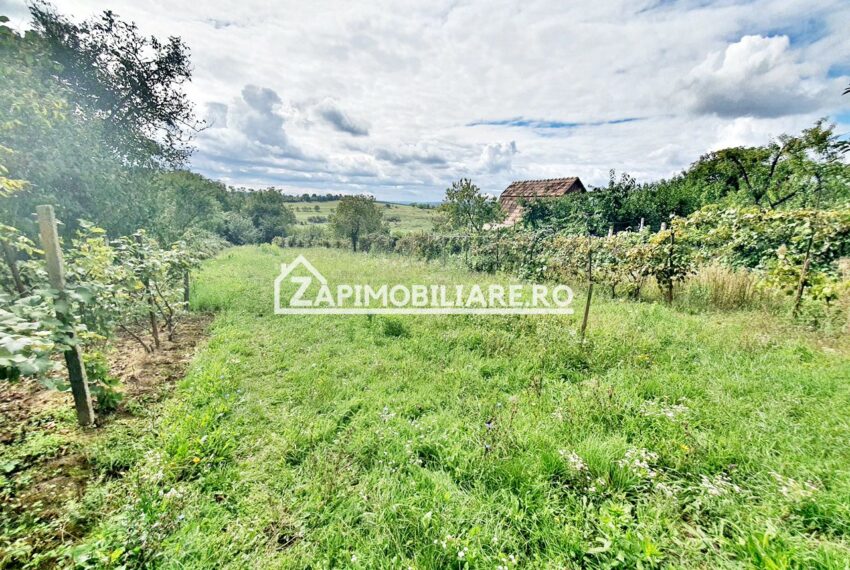 property_image_1591709_8