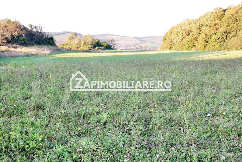 property_image_1785742_9