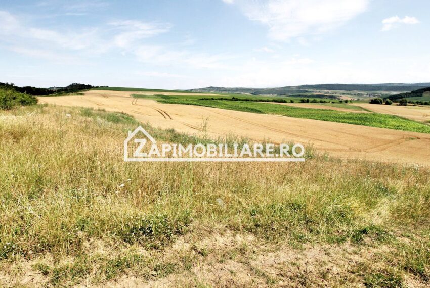 property_image_1733659_5