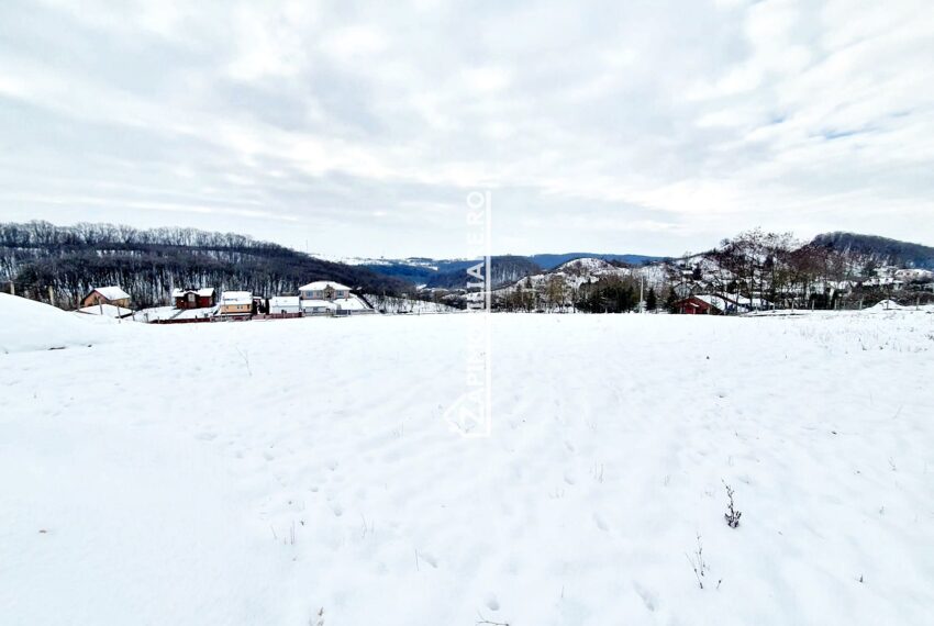 property_image_1658818_1