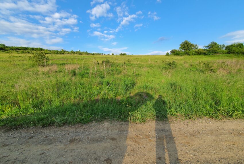 property_image_645810_1