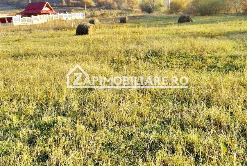 property_image_609380_8