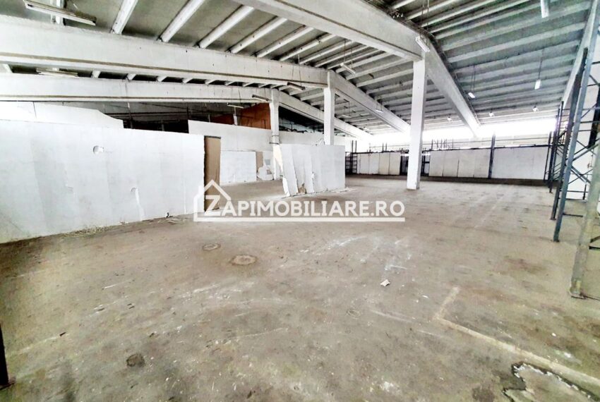 property_image_1429125_4