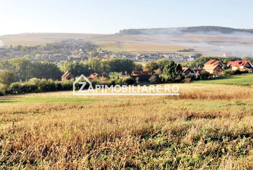 property_image_1791414_1