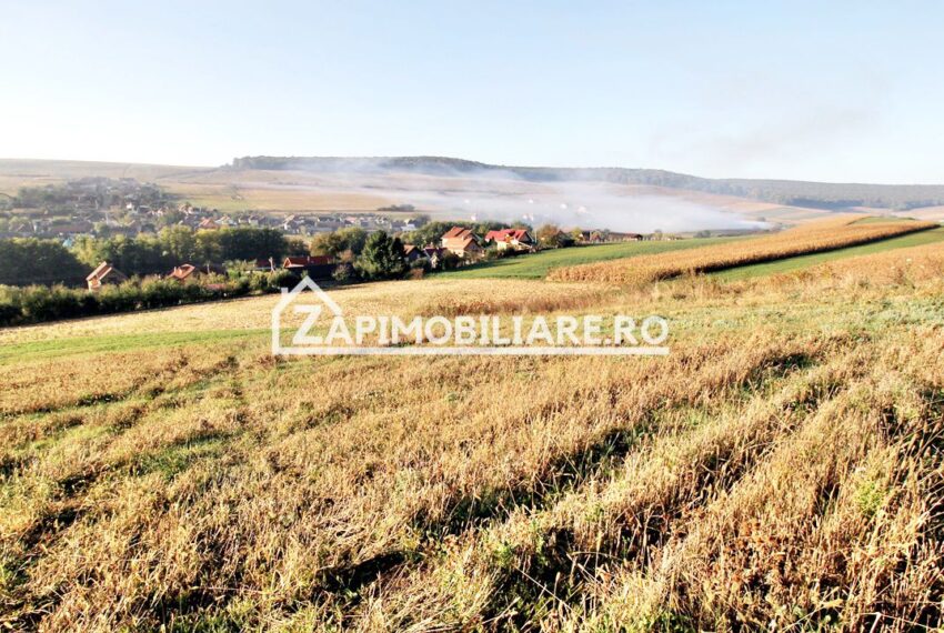 property_image_1791414_2
