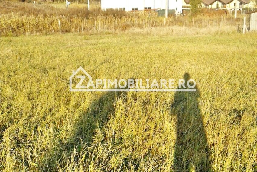 property_image_609380_11
