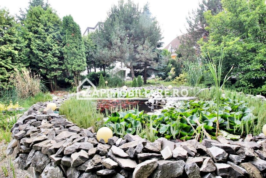 property_image_2581001_6