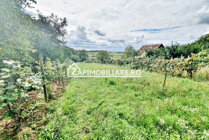 property_image_1591709_5
