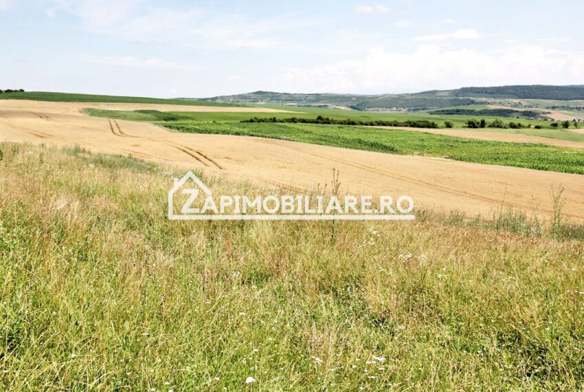 property_image_1733659_4