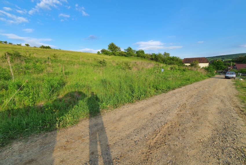 property_image_645810_3