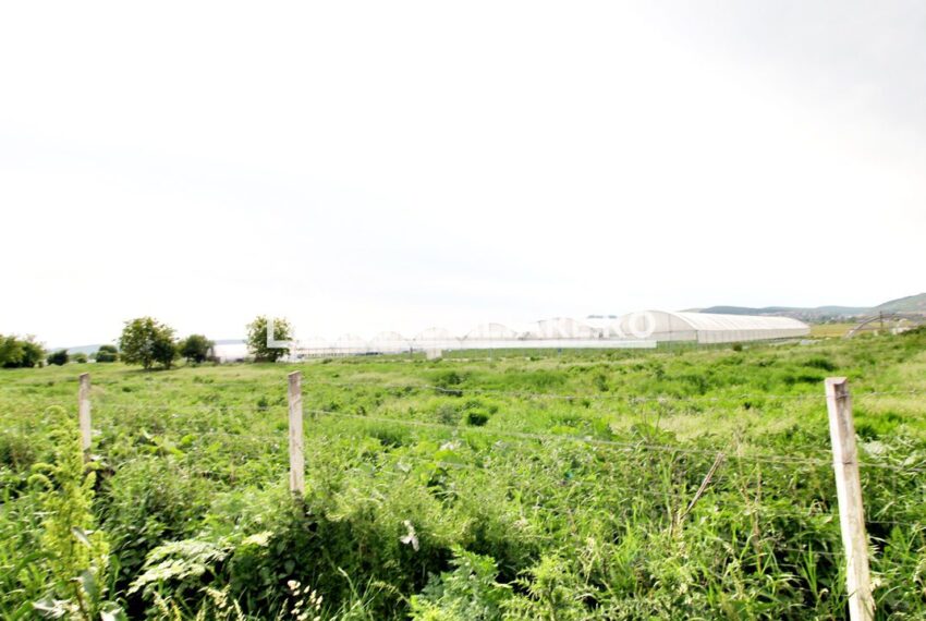 property_image_1715800_4