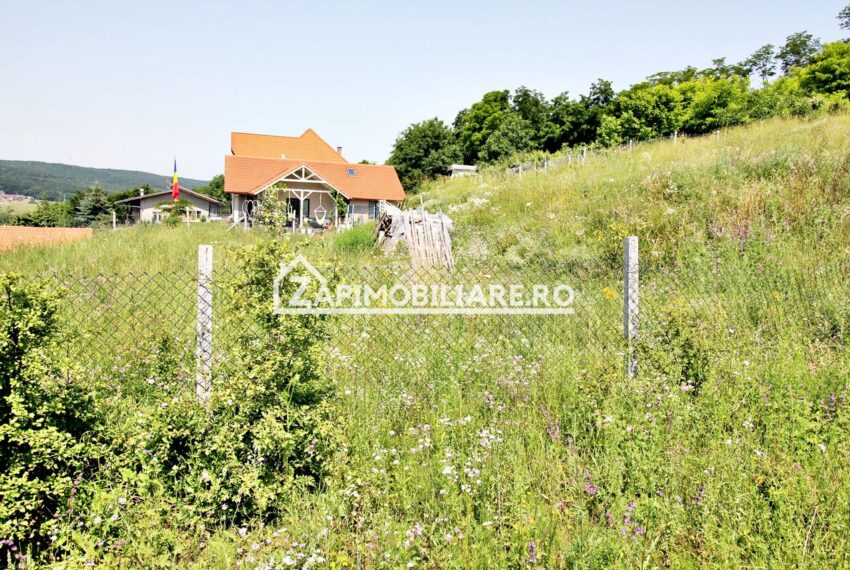 property_image_1728573_6