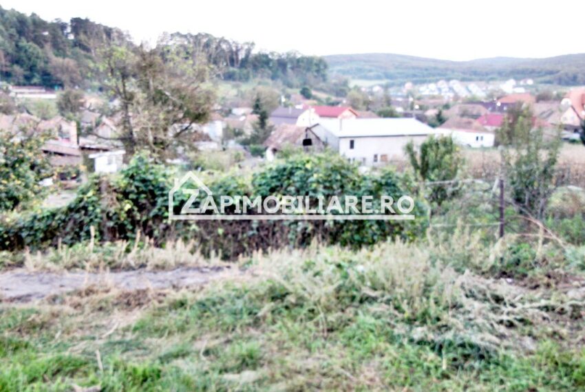 property_image_1785514_10