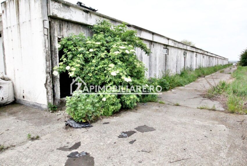 property_image_718195_1