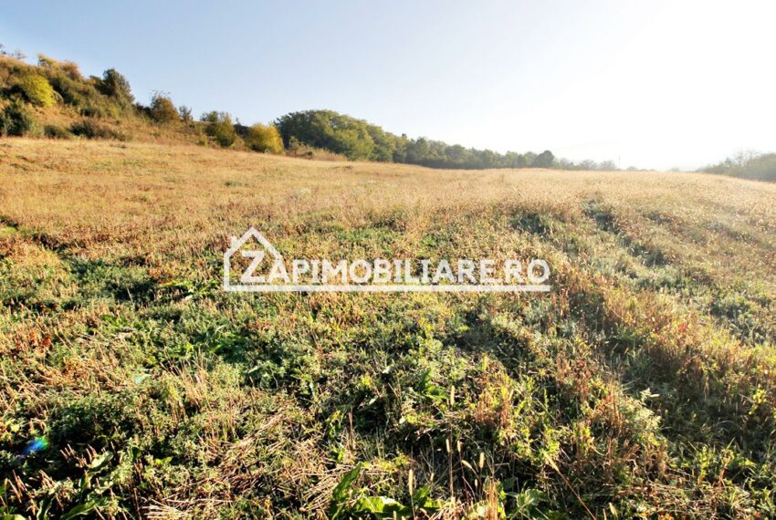 property_image_1791414_3