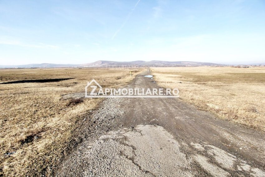 property_image_2298021_2