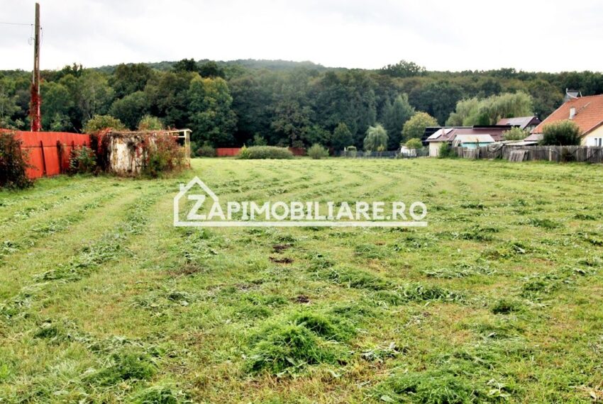 property_image_2754923_3