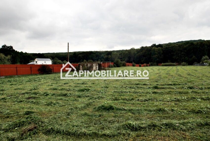 property_image_2754923_6