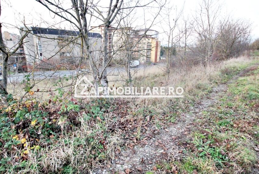 property_image_2811088_3