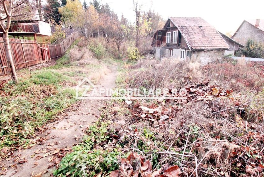 property_image_2803599_6