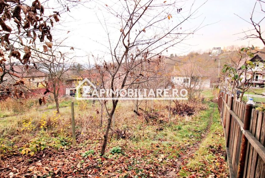 property_image_2803599_2