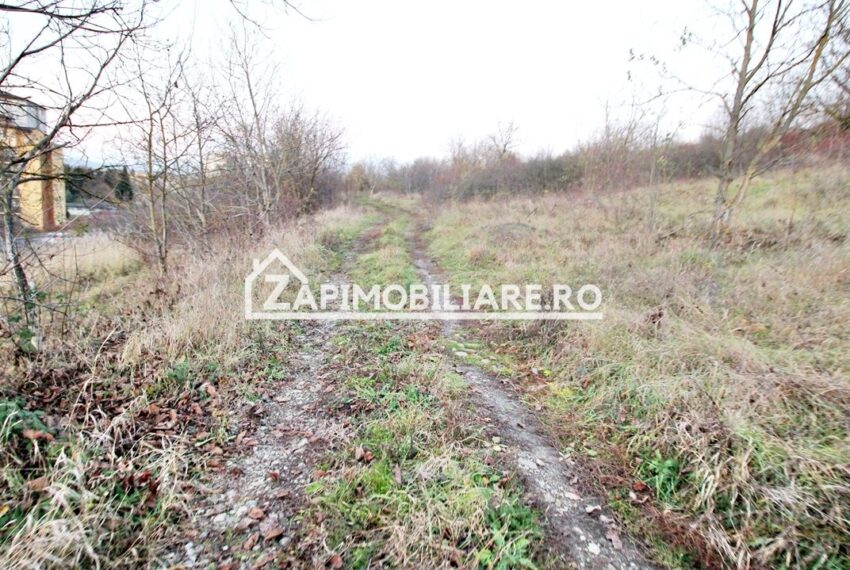 property_image_2811088_4