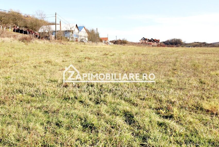 property_image_2806545_7