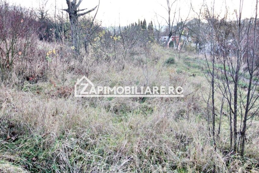 property_image_2811088_8