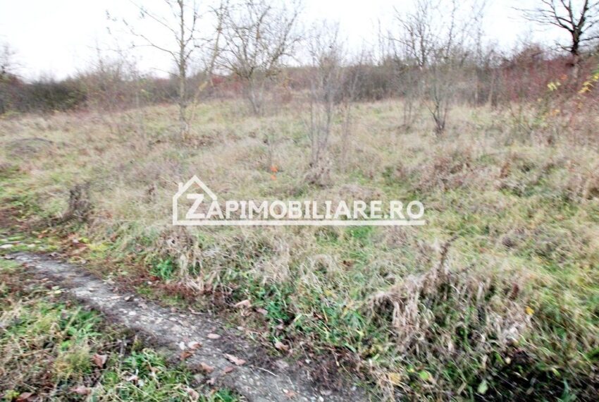 property_image_2811088_5