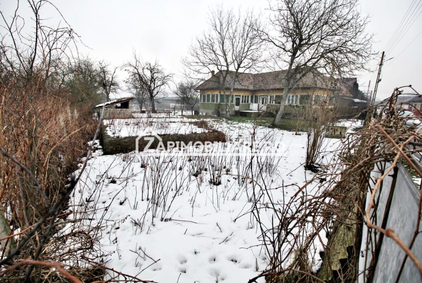 property_image_2896706_3