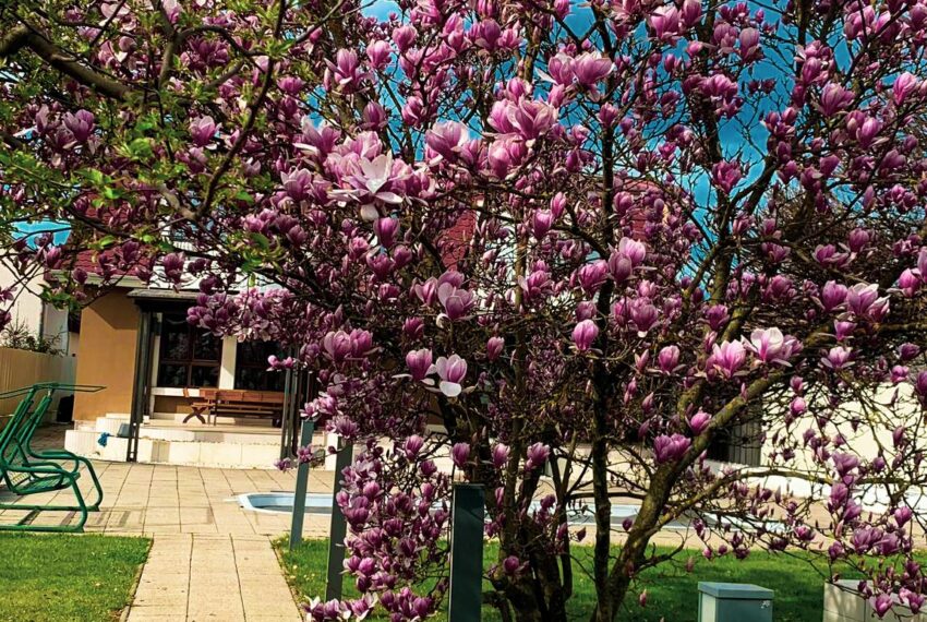 property_image_2397163_40