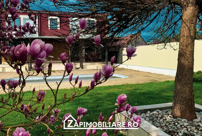 property_image_2397163_39