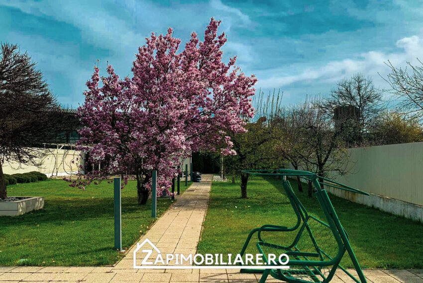 property_image_2397163_2