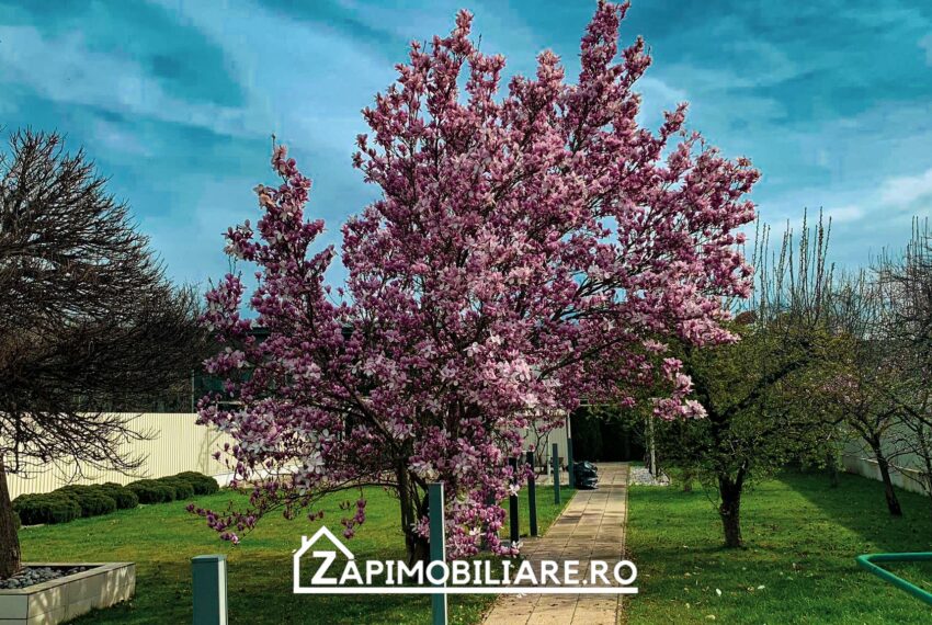 property_image_2397163_4